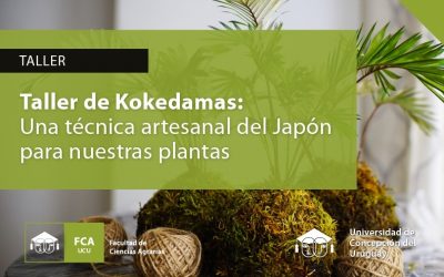 Taller de Kokedamas: una técnica artesanal del Japón para nuestras plantas