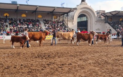 La Cabaña La Fraternidad obtuvo importantes premios en la Expo Rural de Palermo